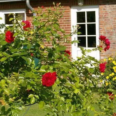 Apartment Der Lebensgarten Einraum Seerose Risum-Lindholm